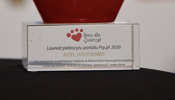 Judytowo – pierwszy w Polsce azyl dla szczeniąt i psów niepełnosprawnych nagrodzony 